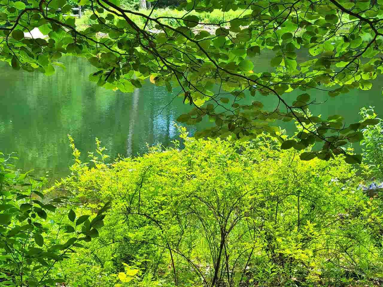 19-20 Grogkill Road Willow, NY 12495 - Photo 26 of 35 Photo 26