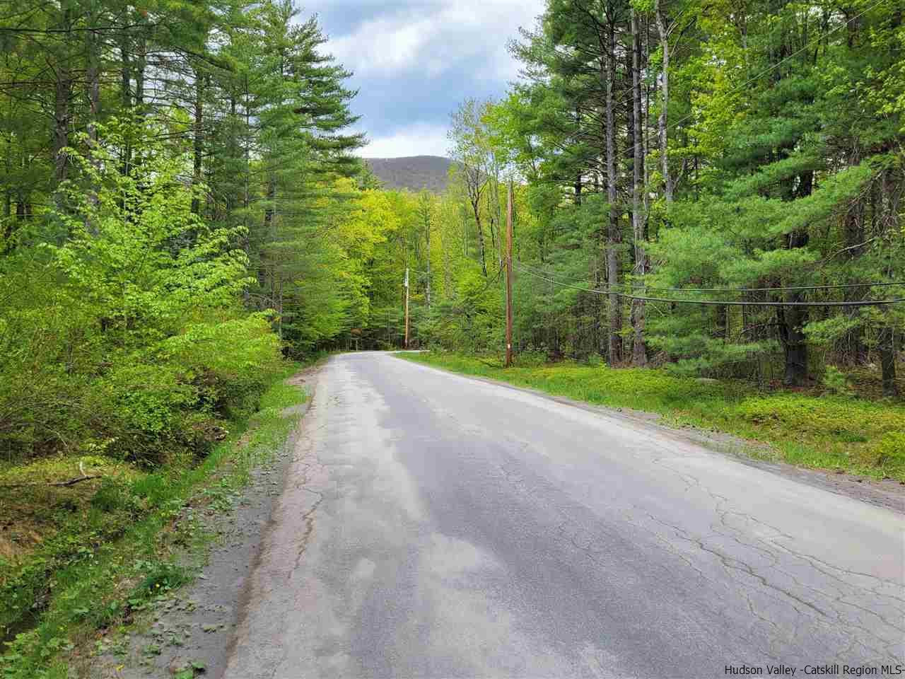 19-20 Grogkill Road Willow, NY 12495 - Photo 3 of 35 Photo 3