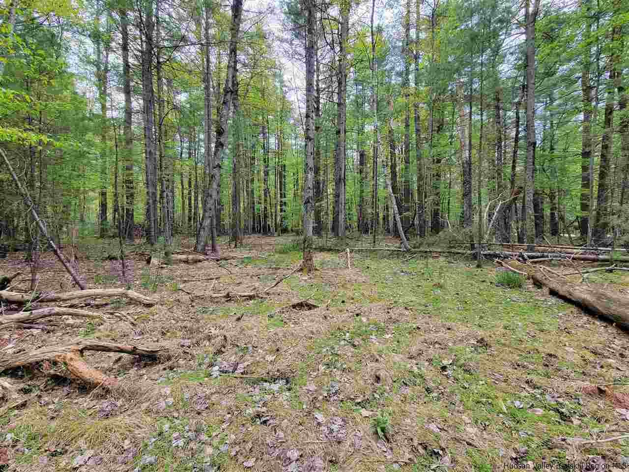 19-20 Grogkill Road Willow, NY 12495 - Photo 5 of 35 Photo 5