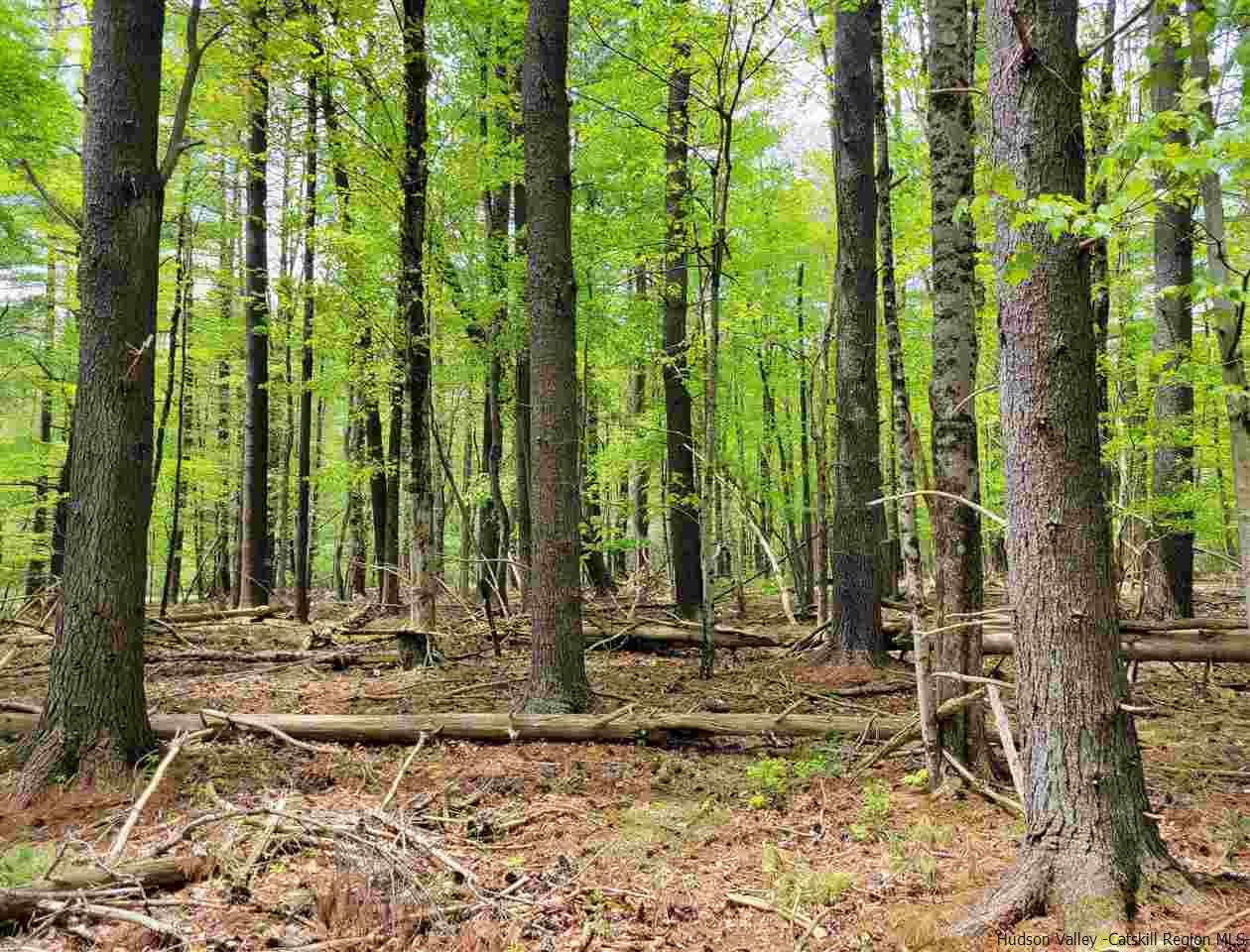 19-20 Grogkill Road Willow, NY 12495 - Photo 6 of 35 Photo 6