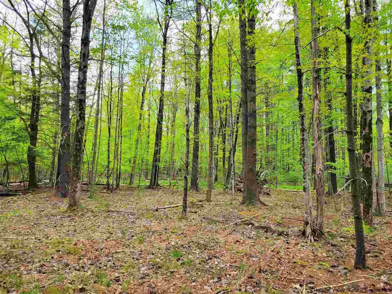 19-20 Grogkill Road Willow, NY 12495 - Photo 7 of 35 Photo 7