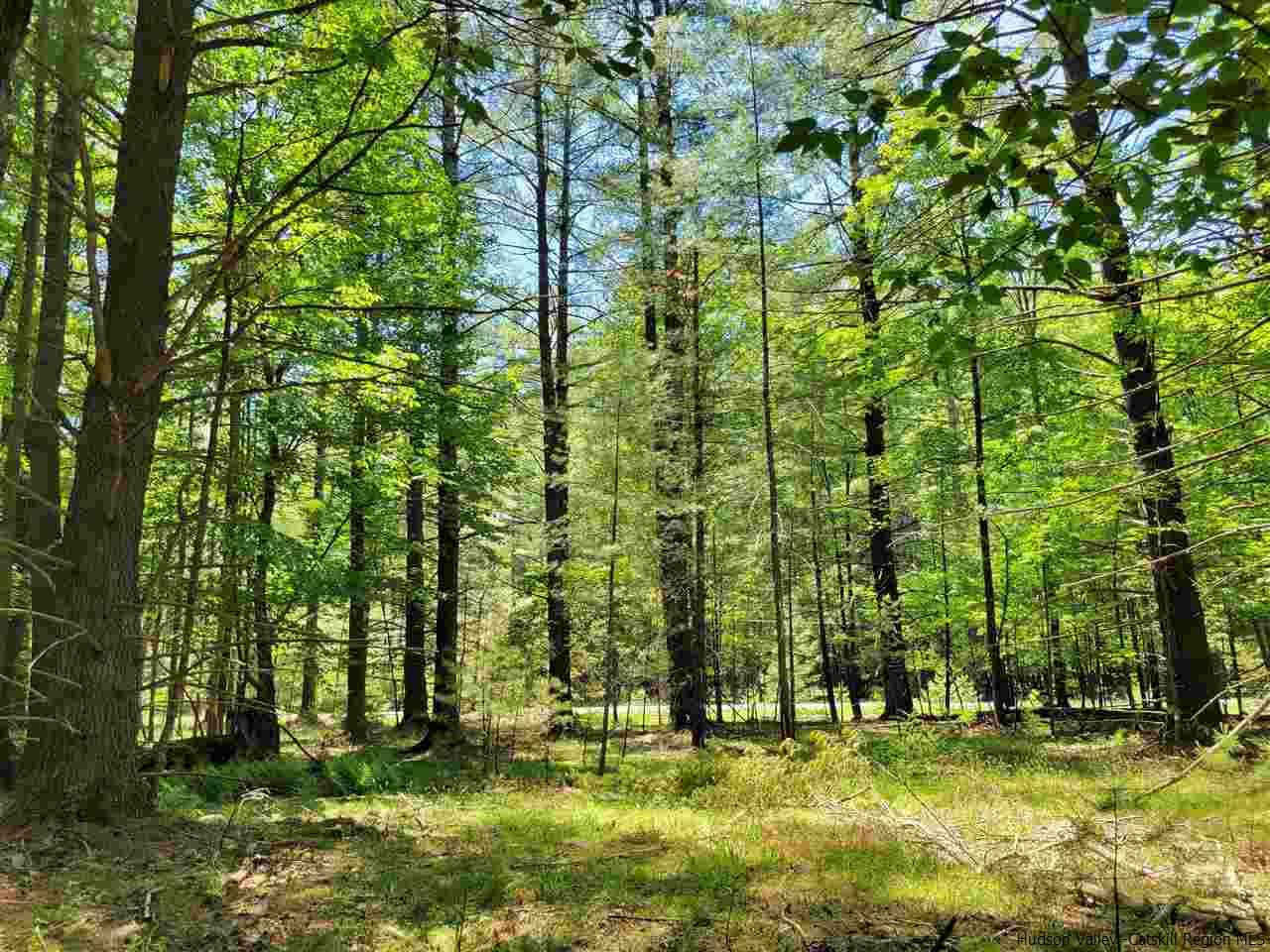 19-20 Grogkill Road Willow, NY 12495 - Photo 9 of 35 Photo 9