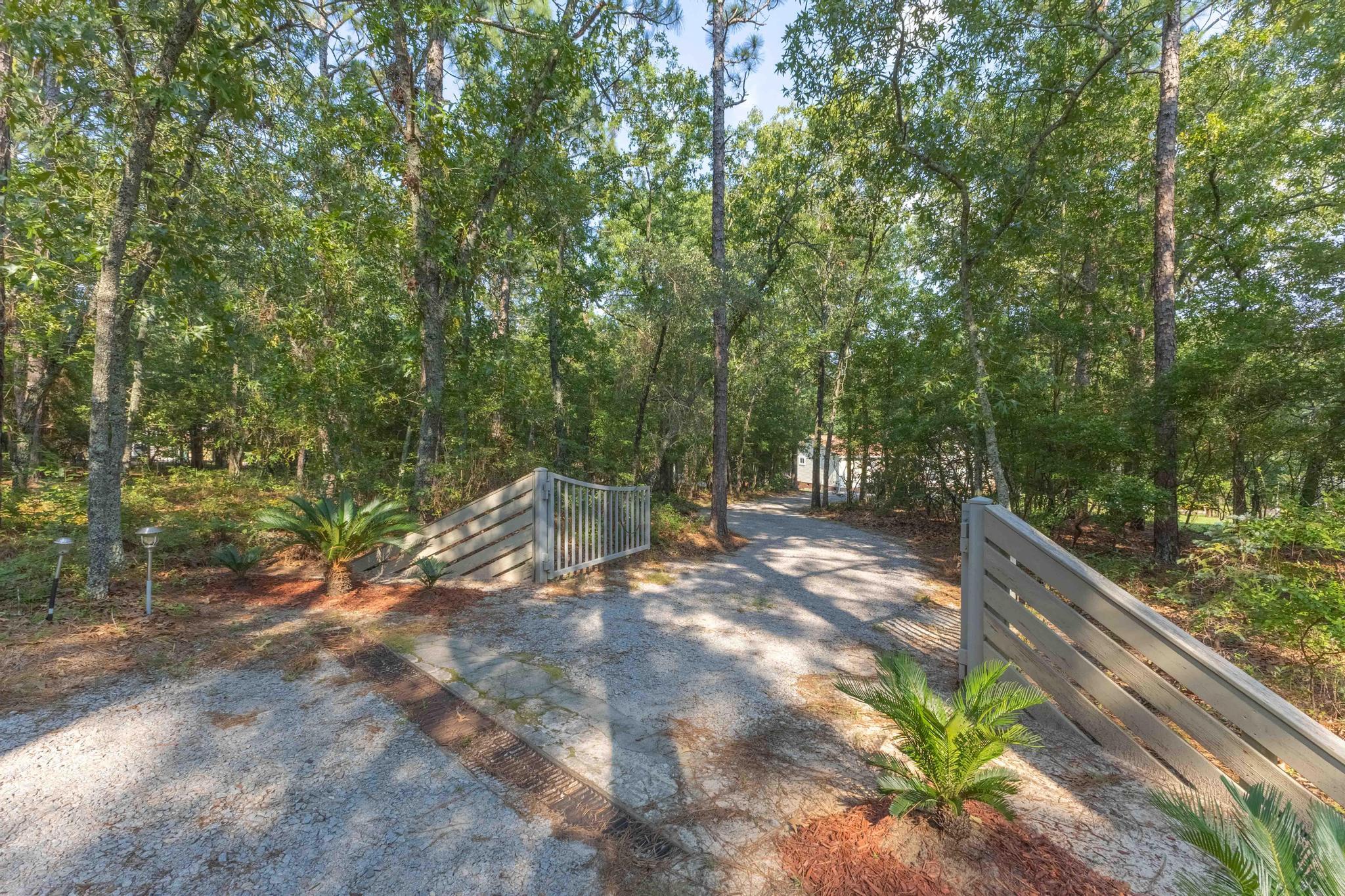 813 Edisto Lake Road Wagener, SC 29164 - Photo 62 of 63 IMG_8887-HDR