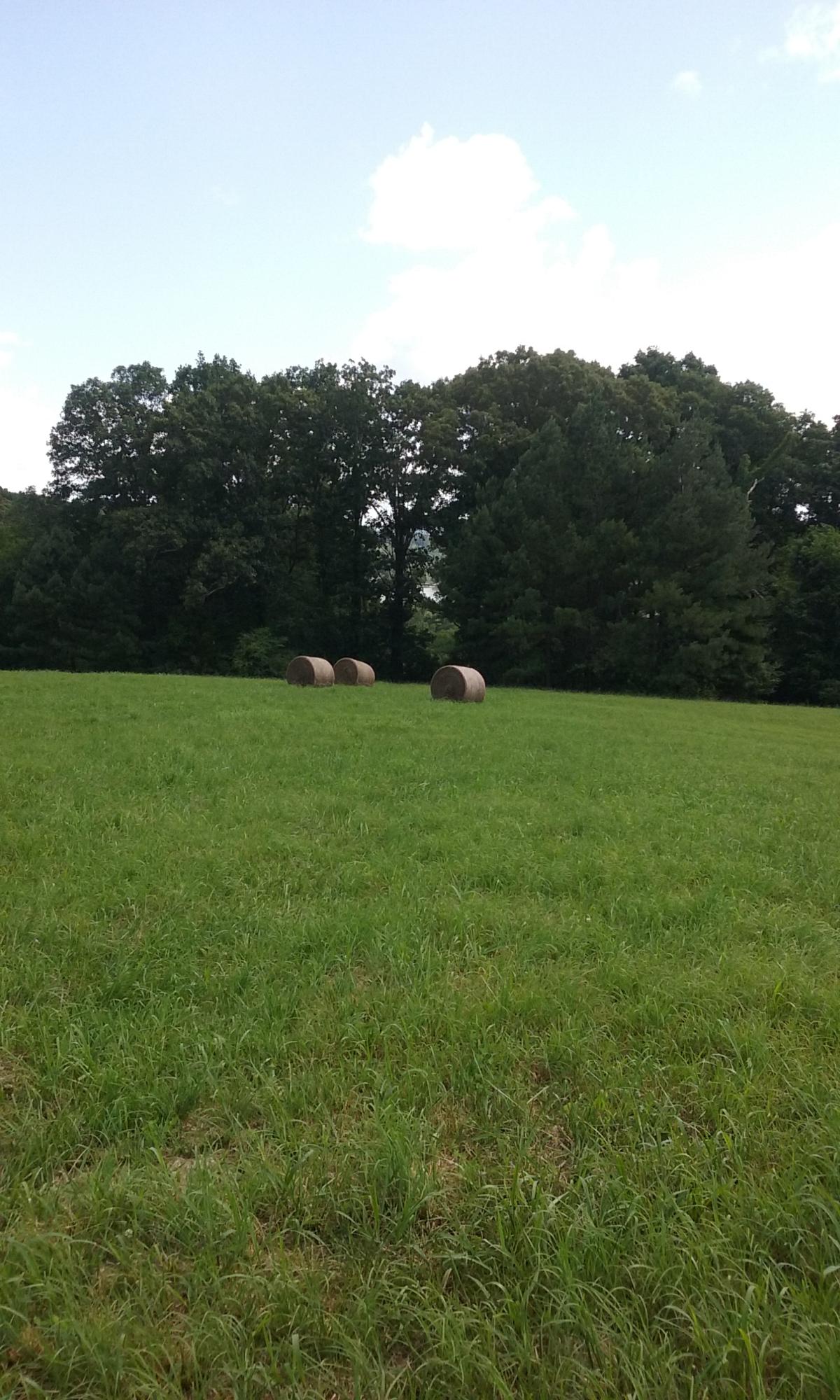 22673 Vonore Road Loudon, TN 37774 - Photo 11 of 39 123