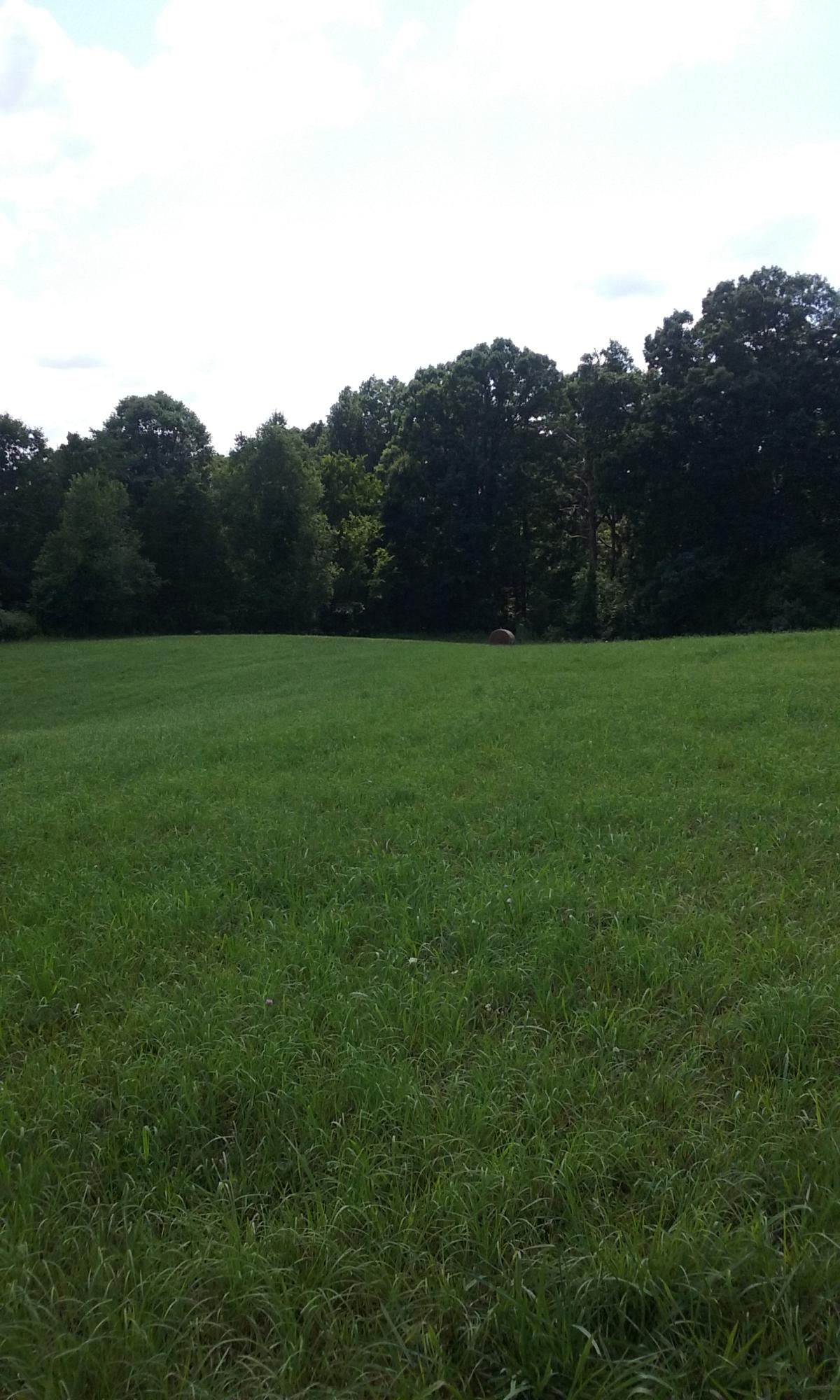 22673 Vonore Road Loudon, TN 37774 - Photo 12 of 39 126