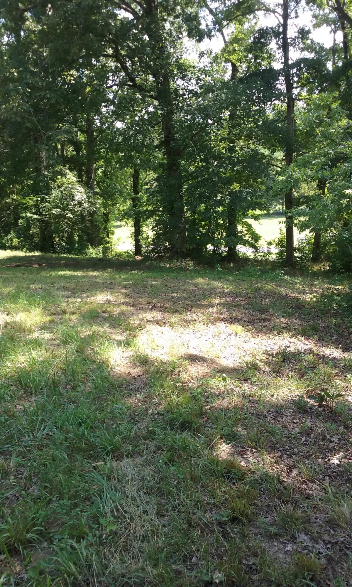 22673 Vonore Road Loudon, TN 37774 - Photo 13 of 39 106