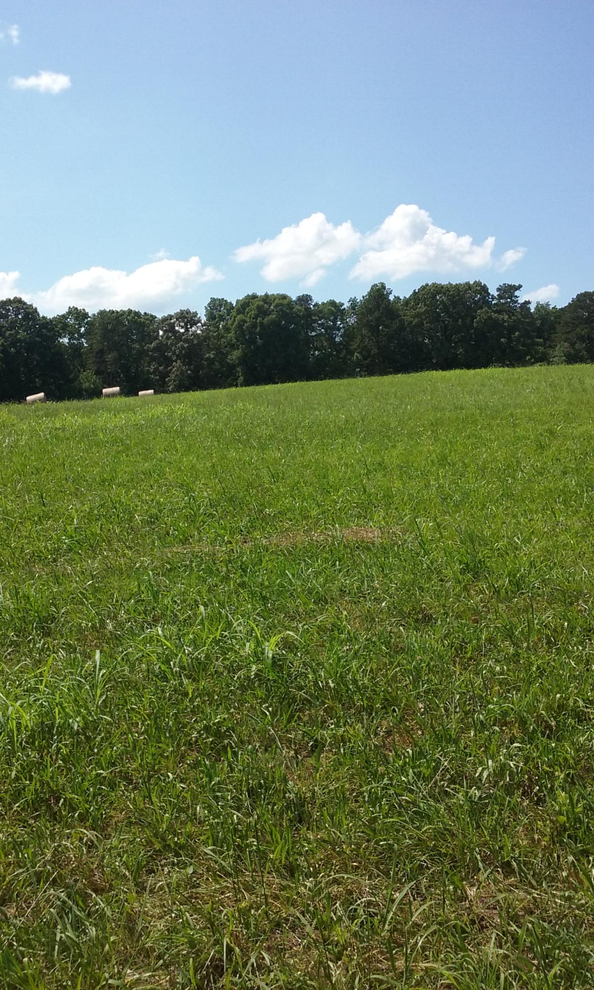 22673 Vonore Road Loudon, TN 37774 - Photo 17 of 39 112