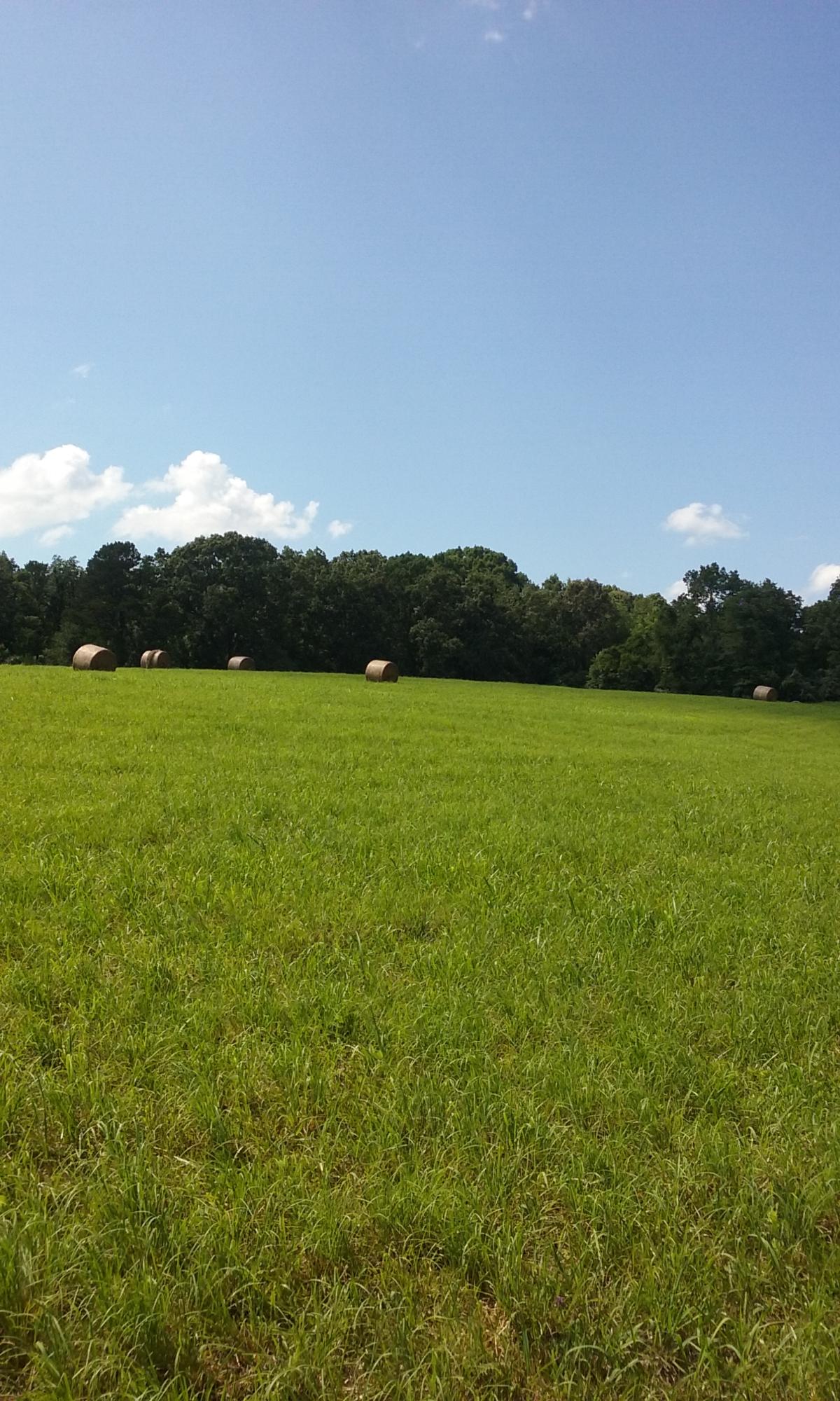 22673 Vonore Road Loudon, TN 37774 - Photo 18 of 39 116