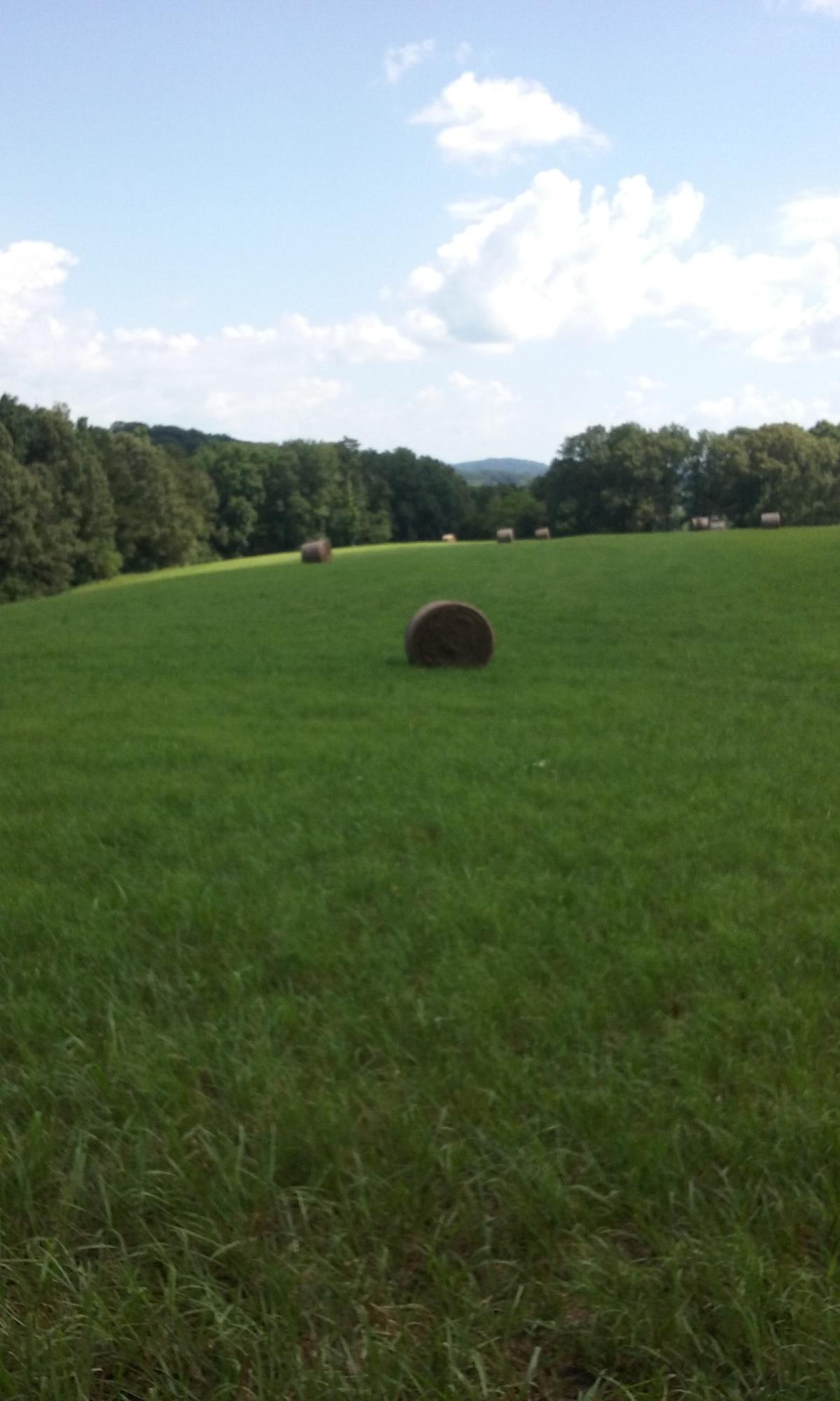 22673 Vonore Road Loudon, TN 37774 - Photo 19 of 39 118