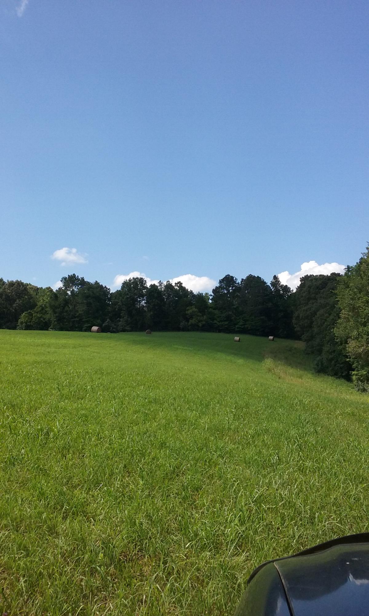 22673 Vonore Road Loudon, TN 37774 - Photo 34 of 39 115