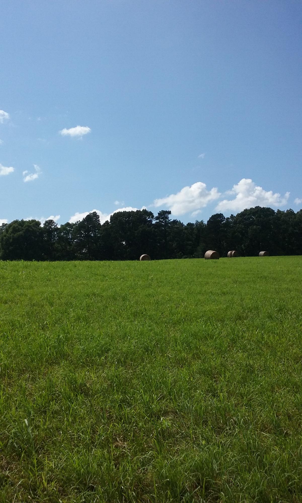 22673 Vonore Road Loudon, TN 37774 - Photo 35 of 39 117