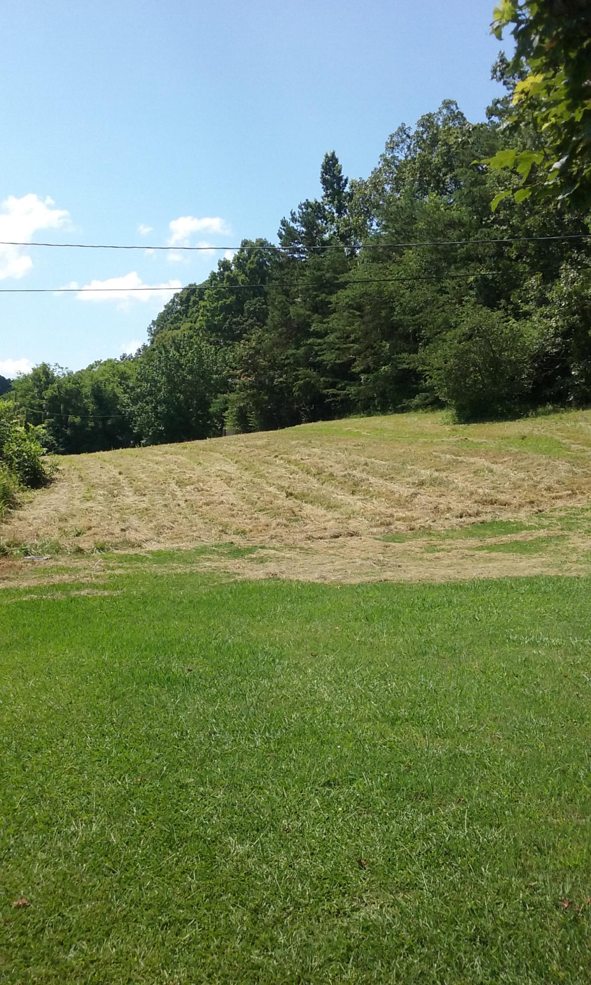22673 Vonore Road Loudon, TN 37774 - Photo 39 of 39 098