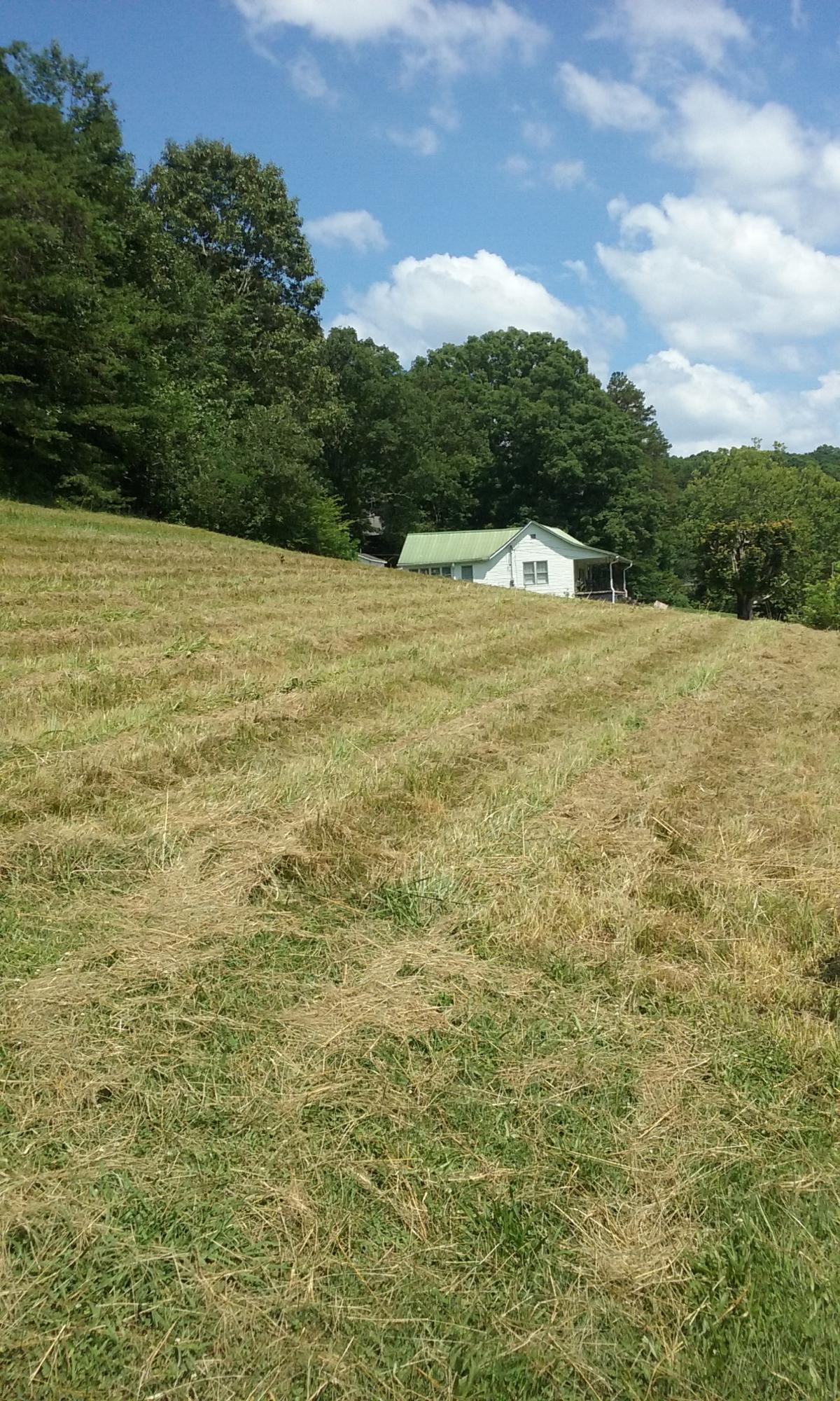 22673 Vonore Road Loudon, TN 37774 - Photo 5 of 39 081