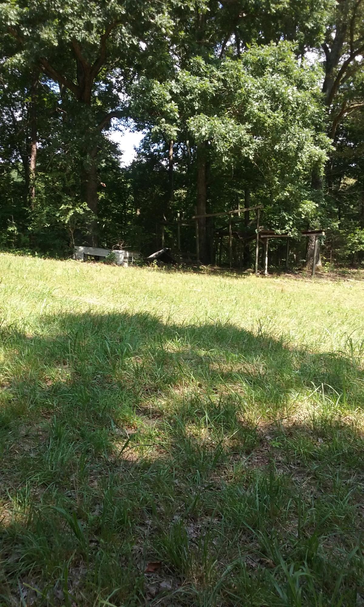 22673 Vonore Road Loudon, TN 37774 - Photo 9 of 39 104