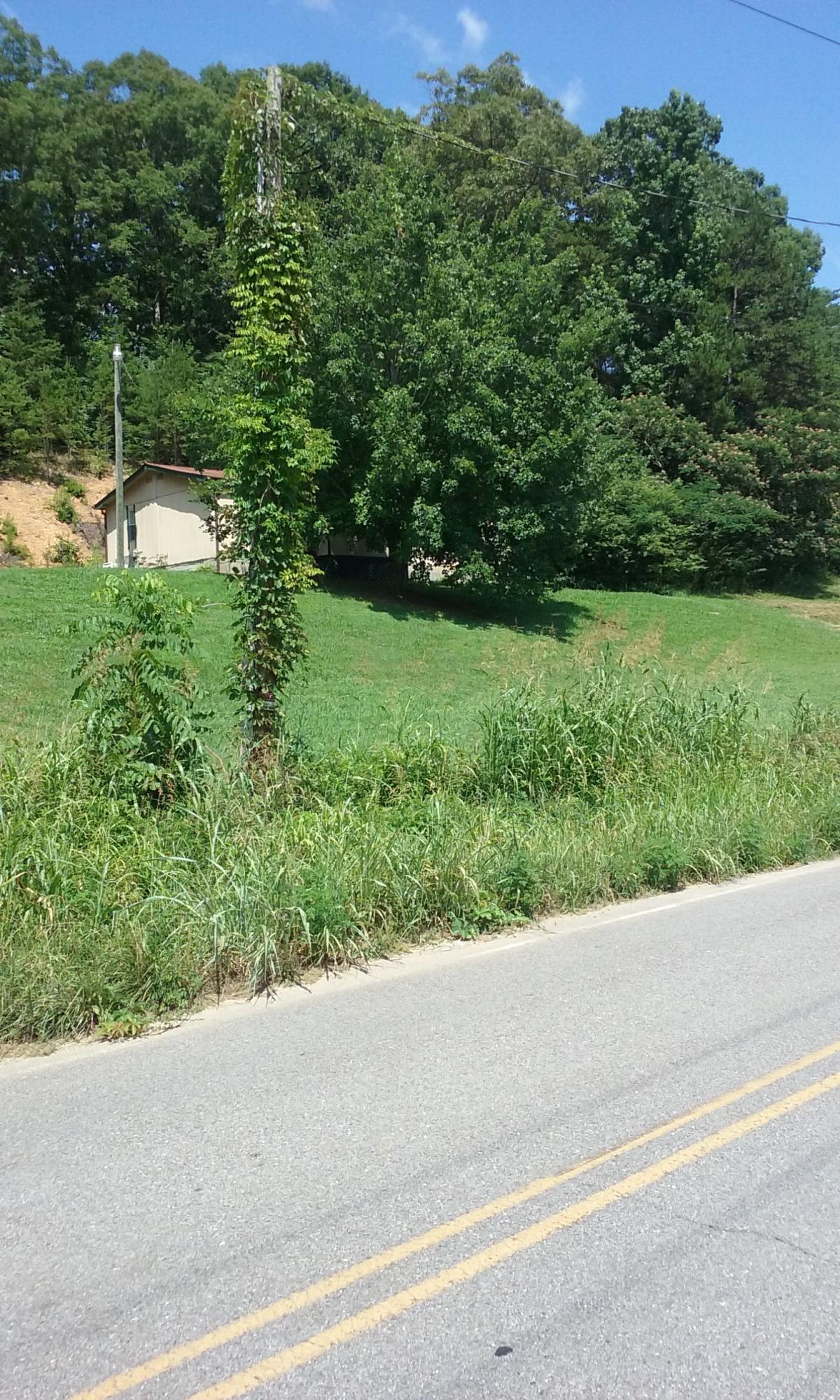 22673 Vonore Road Loudon, TN 37774 - Photo 10 of 39 079