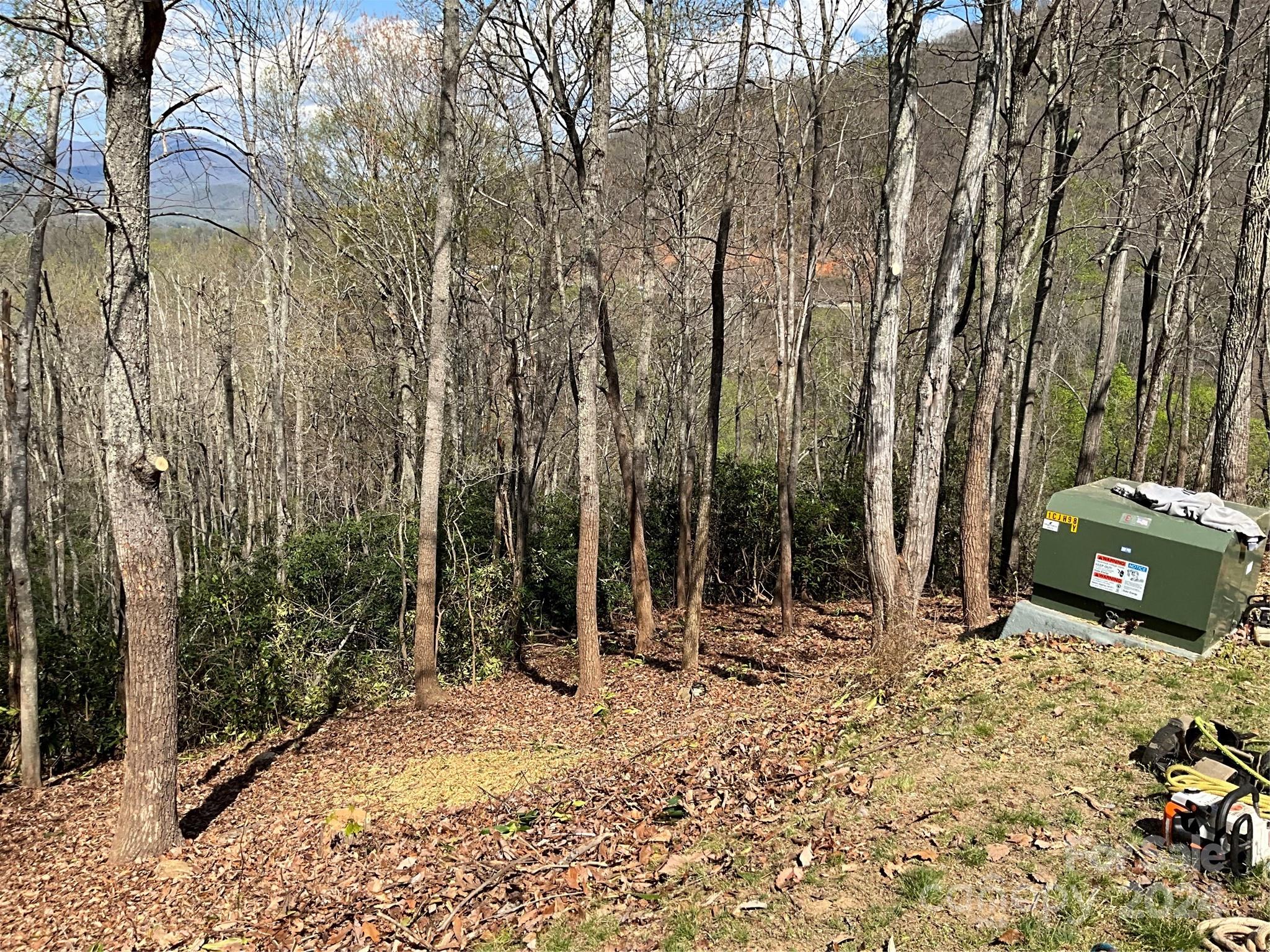 115 High Hickory Trail Swannanoa, NC 28778 - Photo 2 of 8 a view of a park with large trees