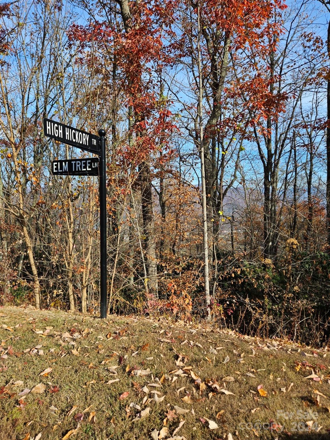 115 High Hickory Trail Swannanoa, NC 28778 - Photo 4 of 8 a backyard of a house with lots of green space