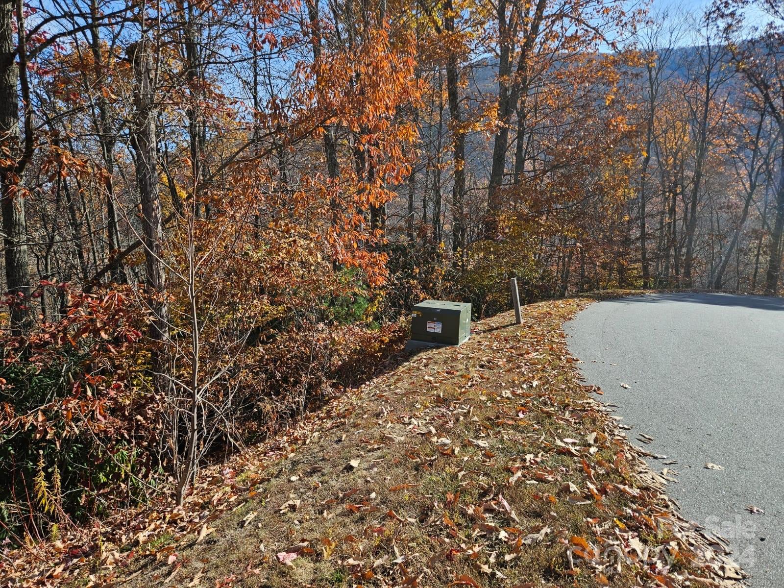 115 High Hickory Trail Swannanoa, NC 28778 - Photo 5 of 8 a view of a bunch of trees
