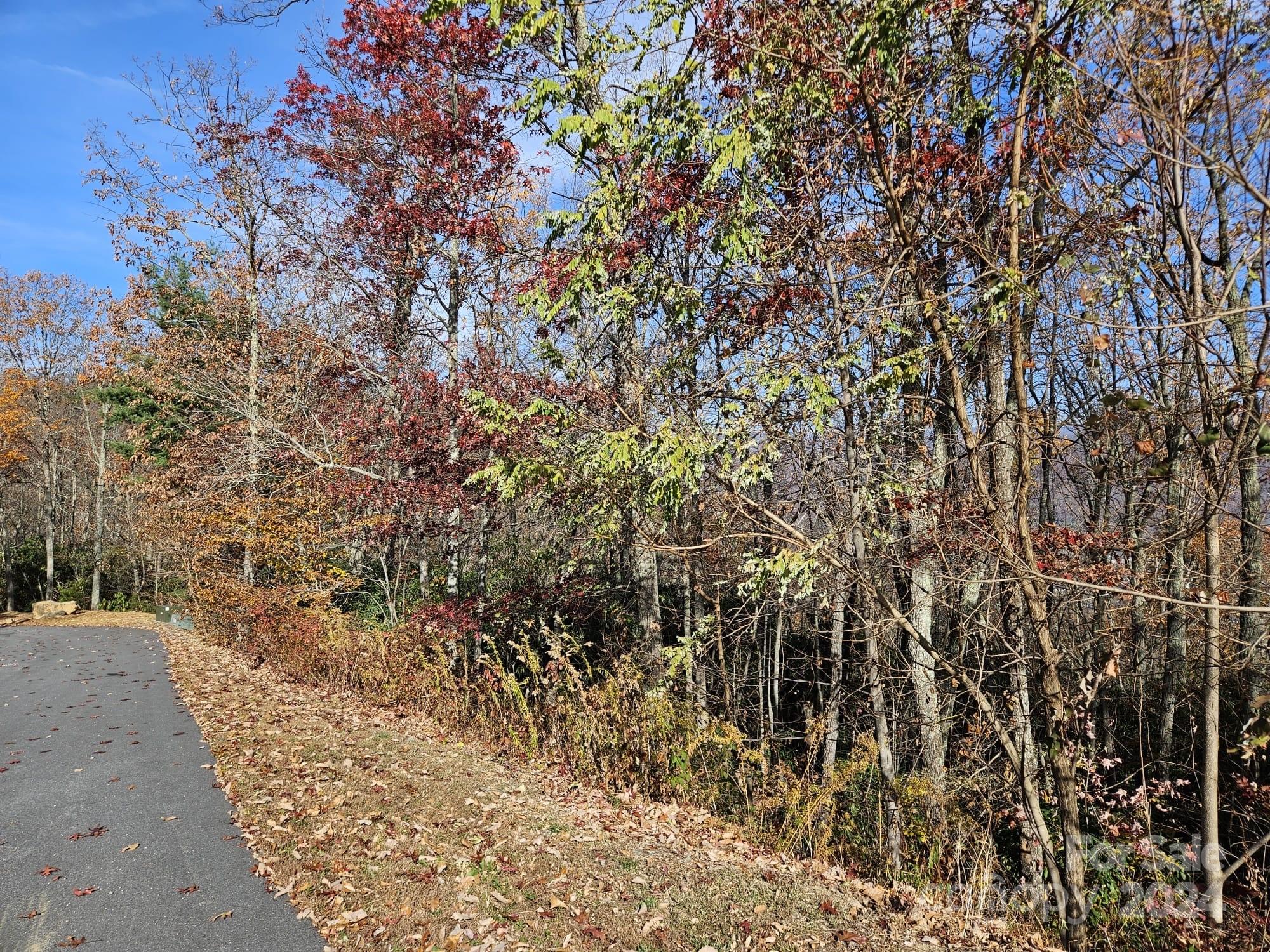 115 High Hickory Trail Swannanoa, NC 28778 - Photo 6 of 8 a view of a yard with a tree
