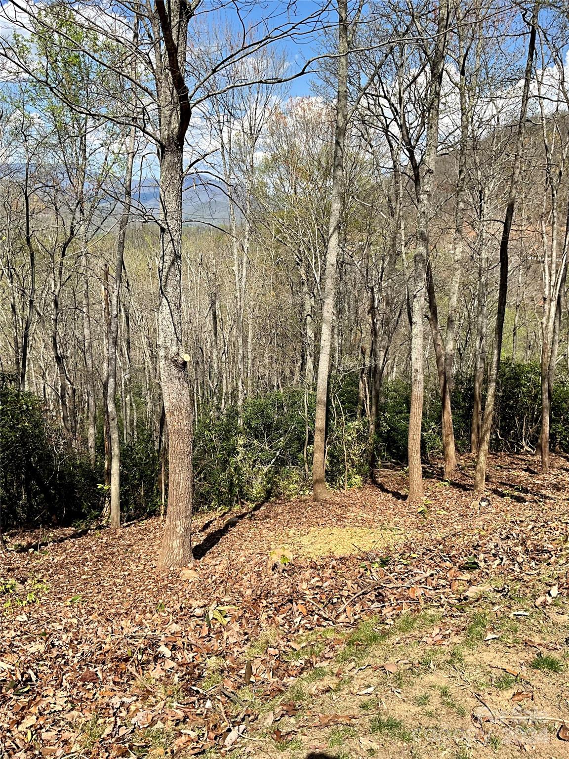 115 High Hickory Trail Swannanoa, NC 28778 - Photo 8 of 8 a view of a yard covered in snow
