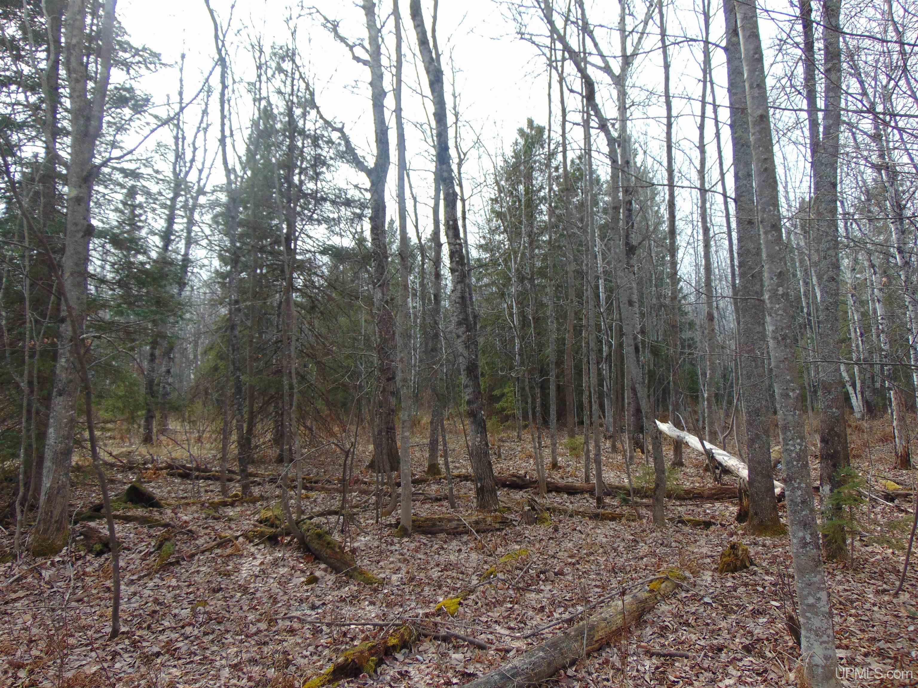 20 Grenlund Road Bruce Crossing, MI 49912 - Photo 15 of 18