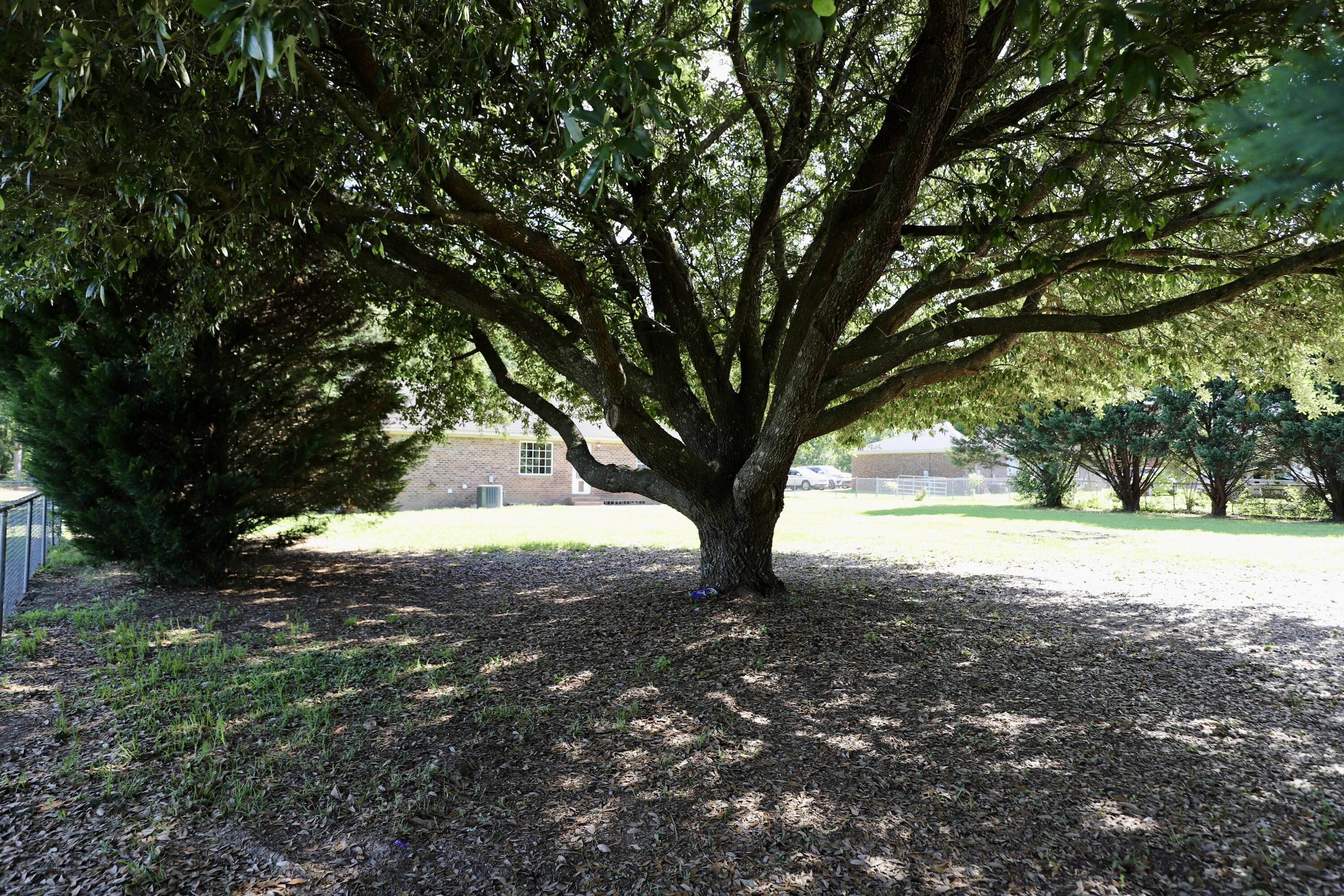 3643 Red Lane Road Dalzell, SC 29040 - Photo 61 of 66