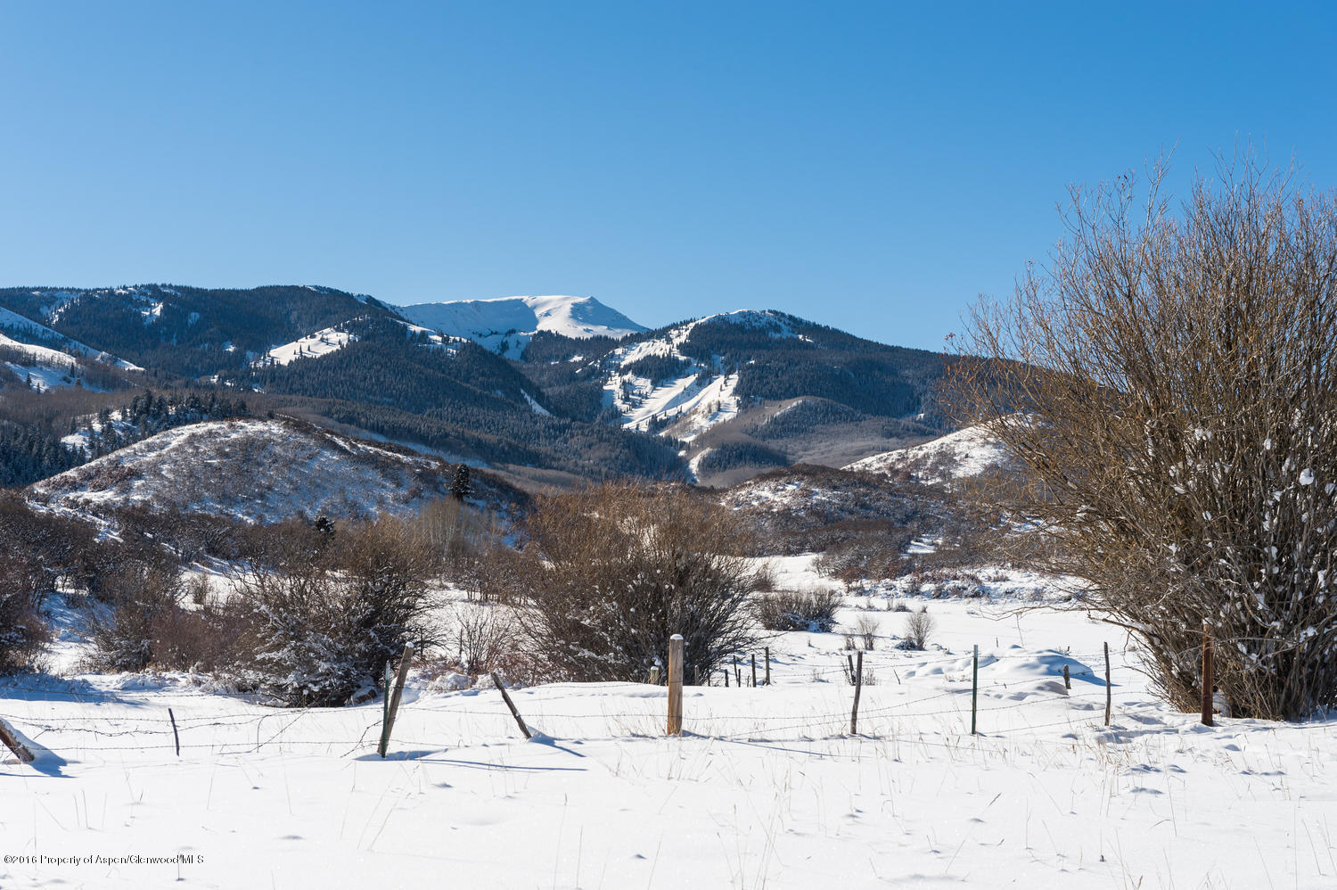 4516 Capitol Creek Road Snowmass, CO 81654 - Photo 11 of 59 a view of a covered with snow