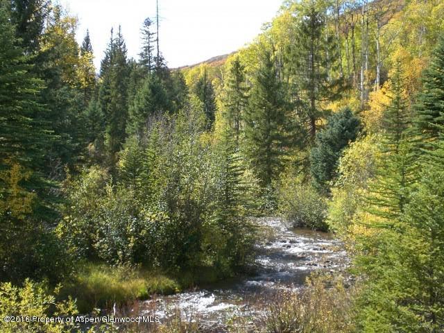4516 Capitol Creek Road Snowmass, CO 81654 - Photo 30 of 59 a view of a forest with a lake