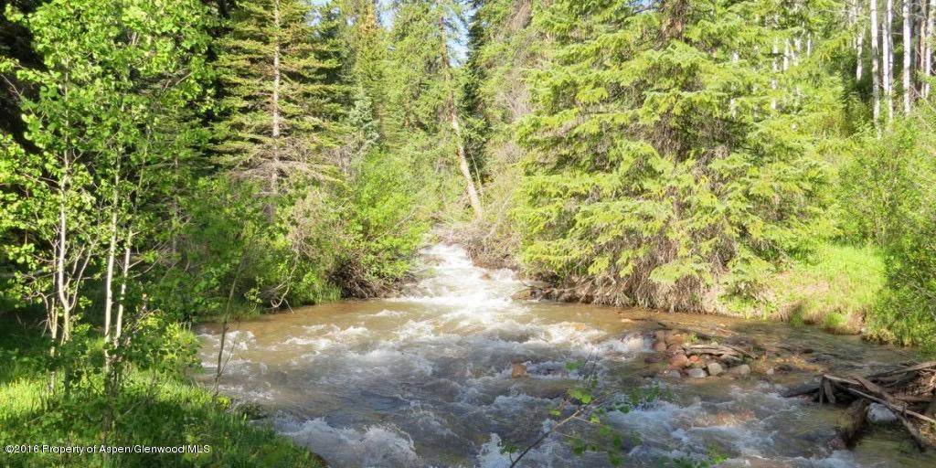 4516 Capitol Creek Road Snowmass, CO 81654 - Photo 32 of 59 a view of a yard with a tree