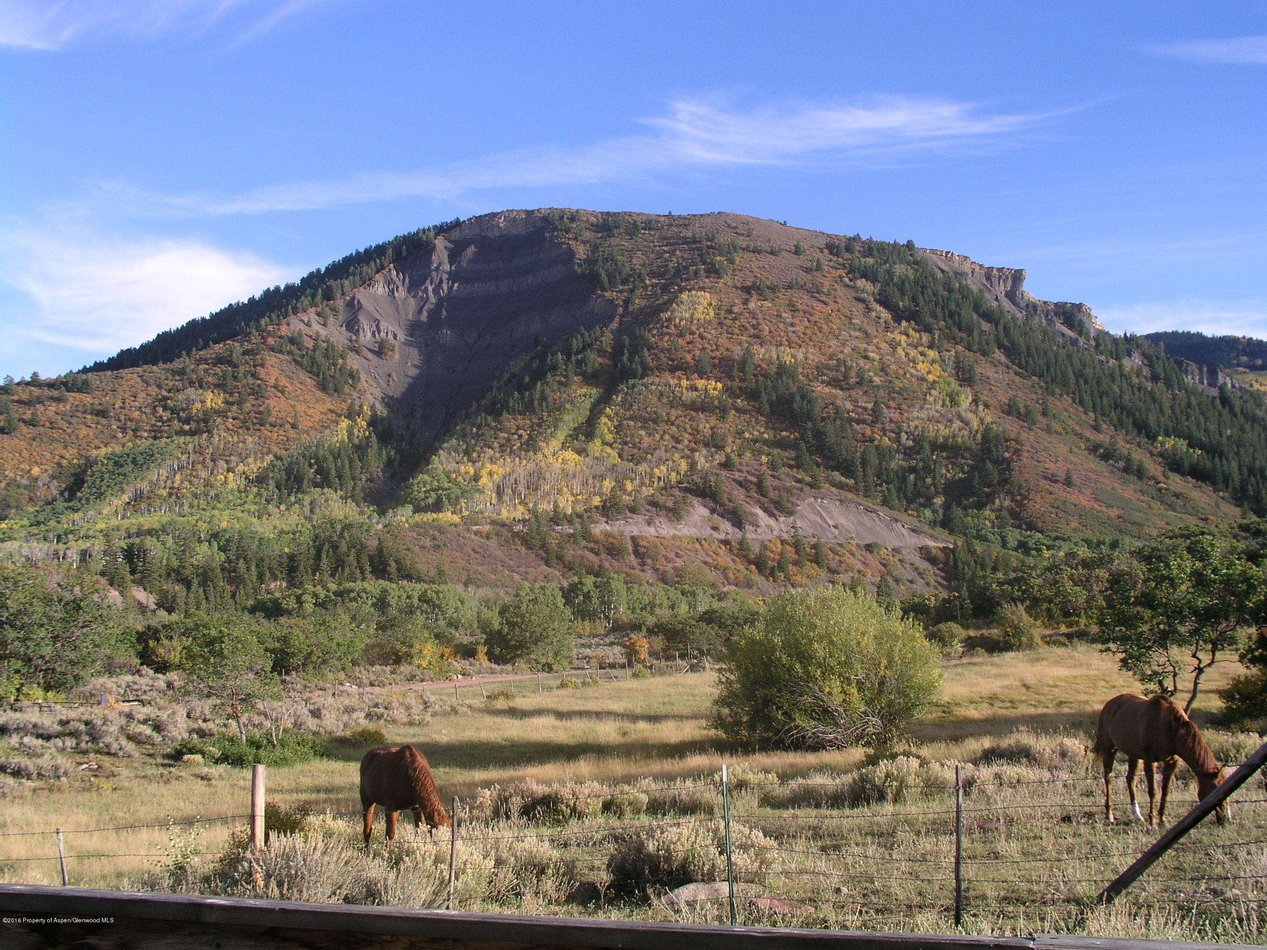 4516 Capitol Creek Road Snowmass, CO 81654 - Photo 40 of 59 a view of a dry yard with mountains in the background
