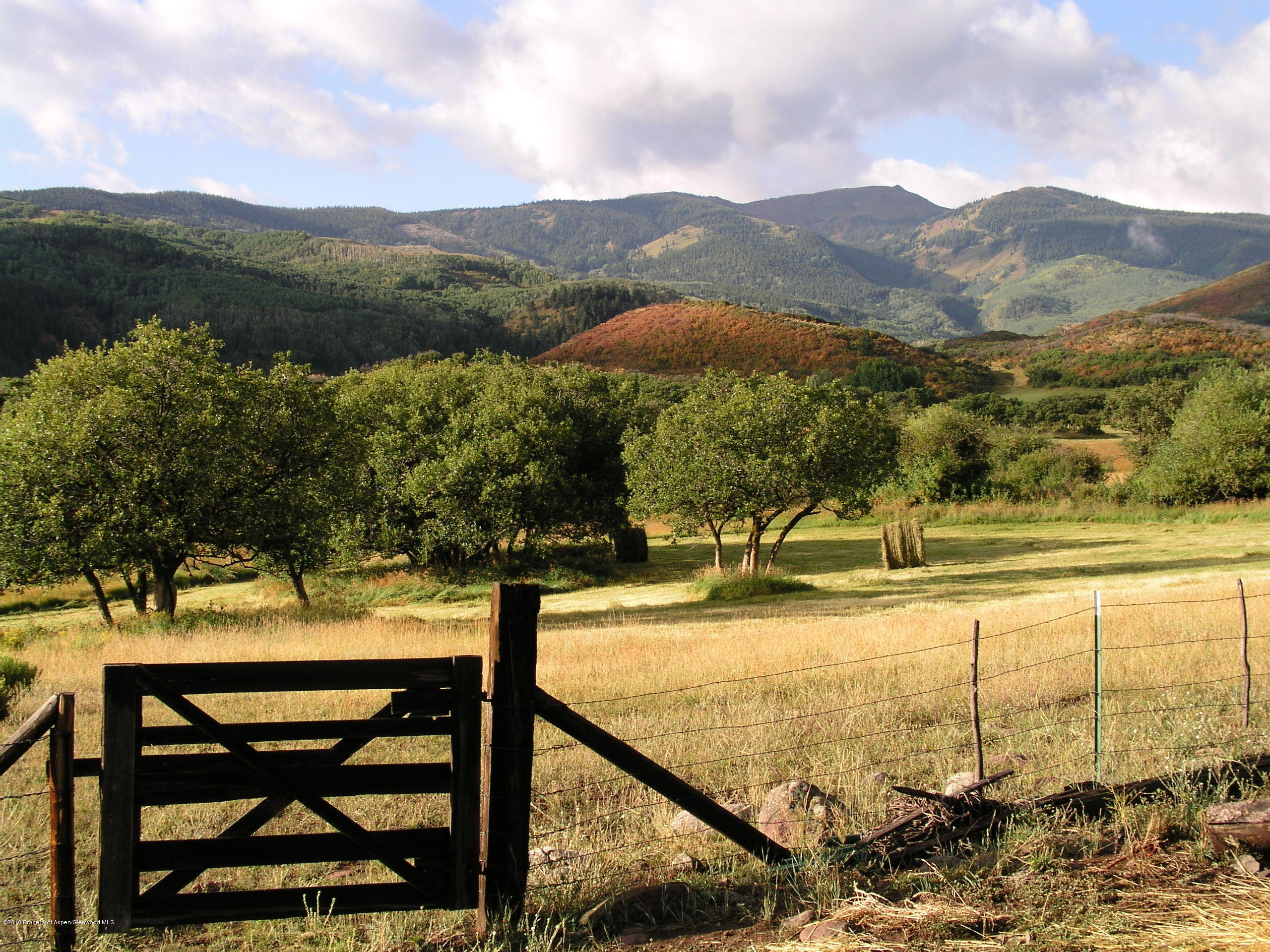 4516 Capitol Creek Road Snowmass, CO 81654 - Photo 48 of 59 a view of a swimming pool with a patio