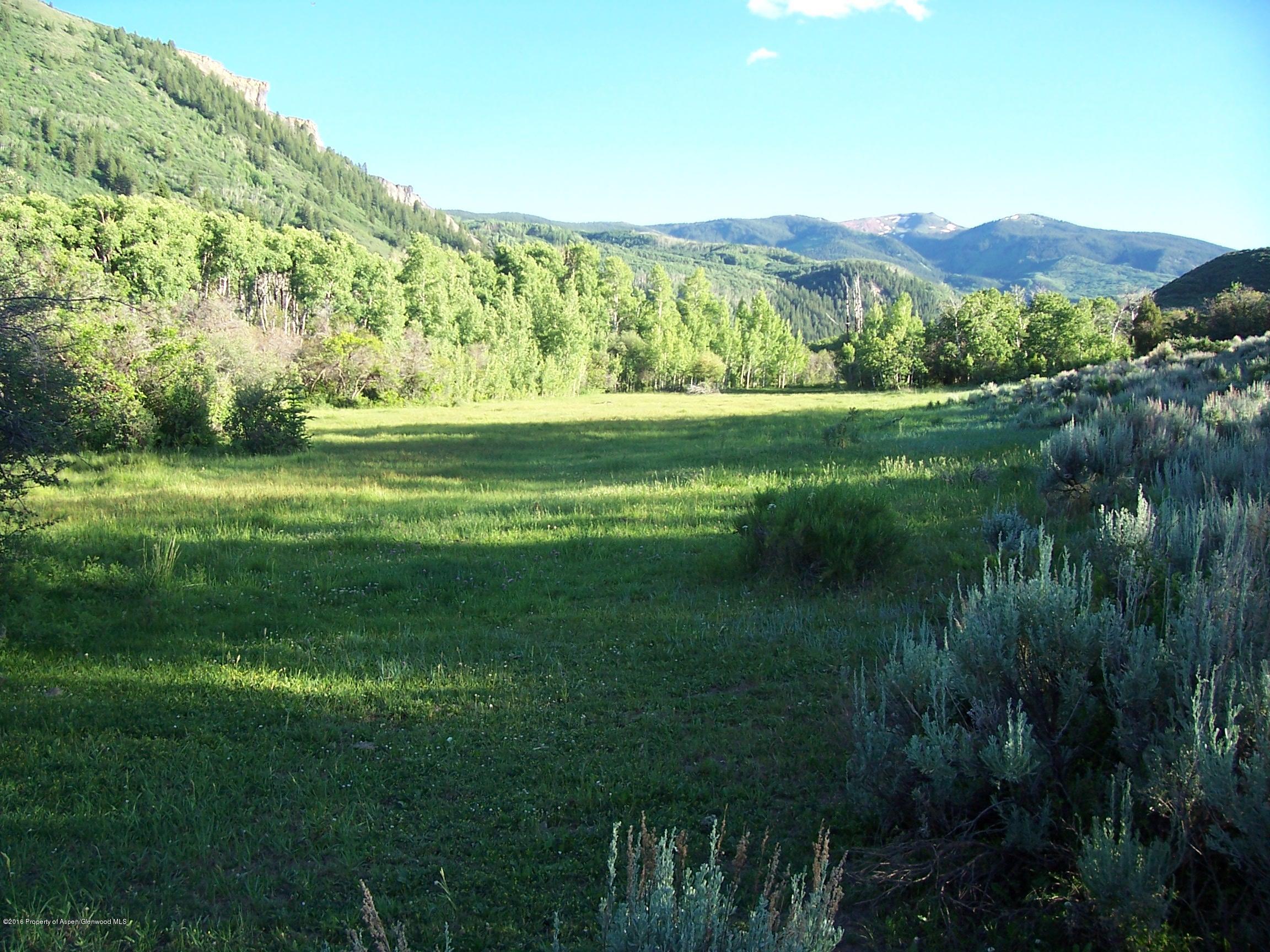 4516 Capitol Creek Road Snowmass, CO 81654 - Photo 51 of 59 a view of a lush green hillside and a houses