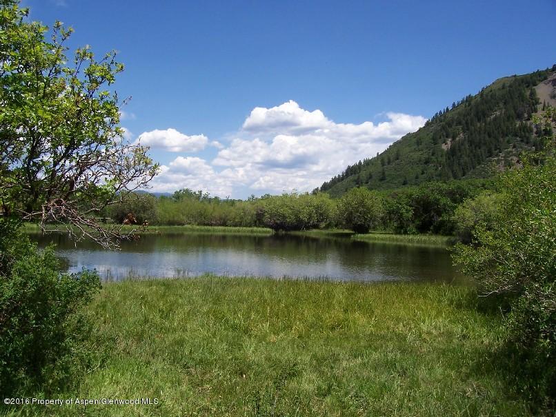 4516 Capitol Creek Road Snowmass, CO 81654 - Photo 52 of 59 a view of a lake in a forest
