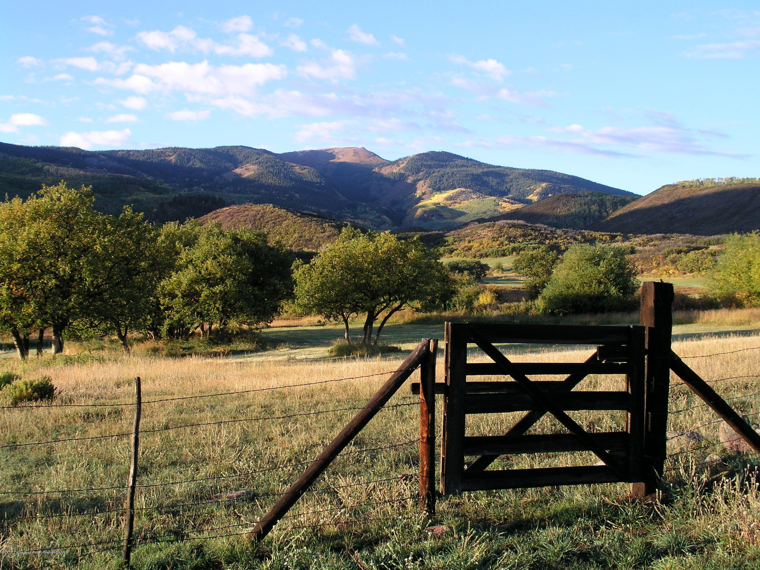 4516 Capitol Creek Road Snowmass, CO 81654 - Photo 55 of 59 a view of a outdoor space with mountain view