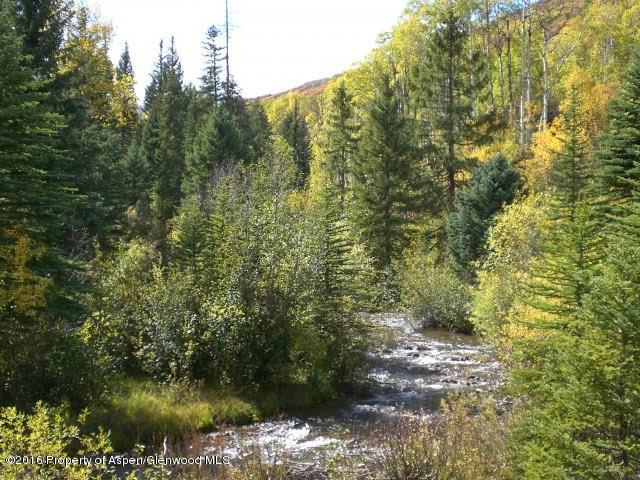 4516 Capitol Creek Road Snowmass, CO 81654 - Photo 59 of 59 a view of a forest with a lake