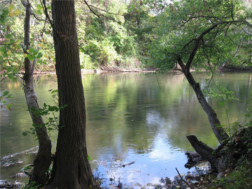 9020 Diagonal Road Streetsboro, OH 44241 - Photo 23 of 26 Beautiful and peaceful! Just sit back and watch nature!
