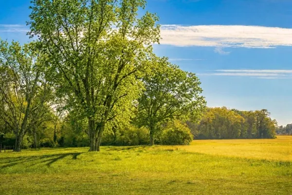 $199,900 | Tbd Vinson Ray Road, Baker, FL 32531
