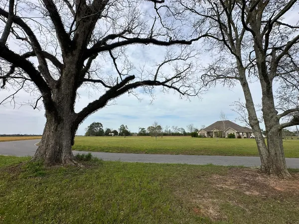 a view of a yard with an trees