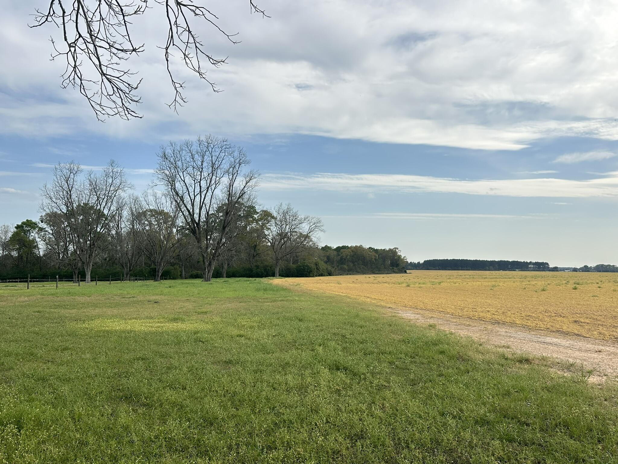 Tbd Vinson Ray Road Baker, FL 32531 - Photo 2 of 12 IMG_8187