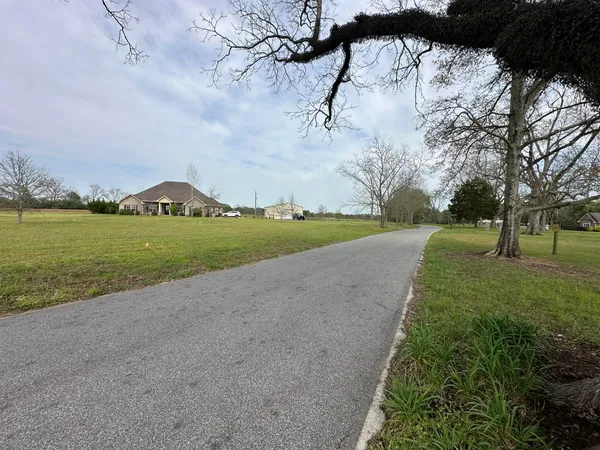 a view of a big yard with large trees