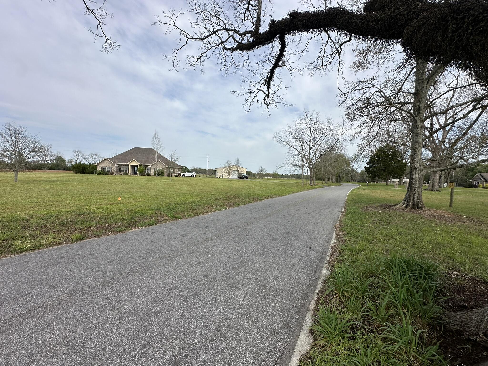 Tbd Vinson Ray Road Baker, FL 32531 - Photo 8 of 12 IMG_8188