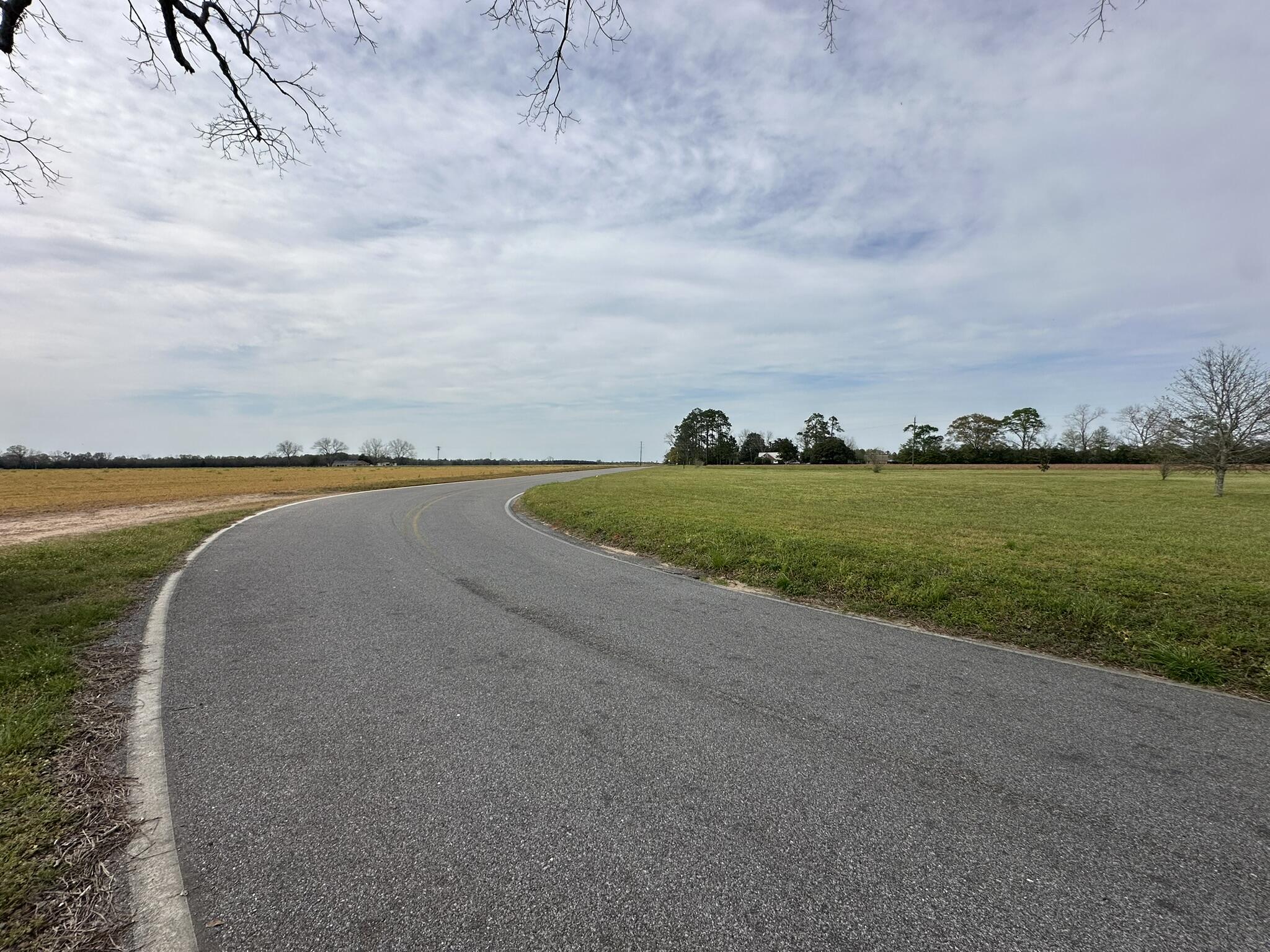 Tbd Vinson Ray Road Baker, FL 32531 - Photo 9 of 12 IMG_8189