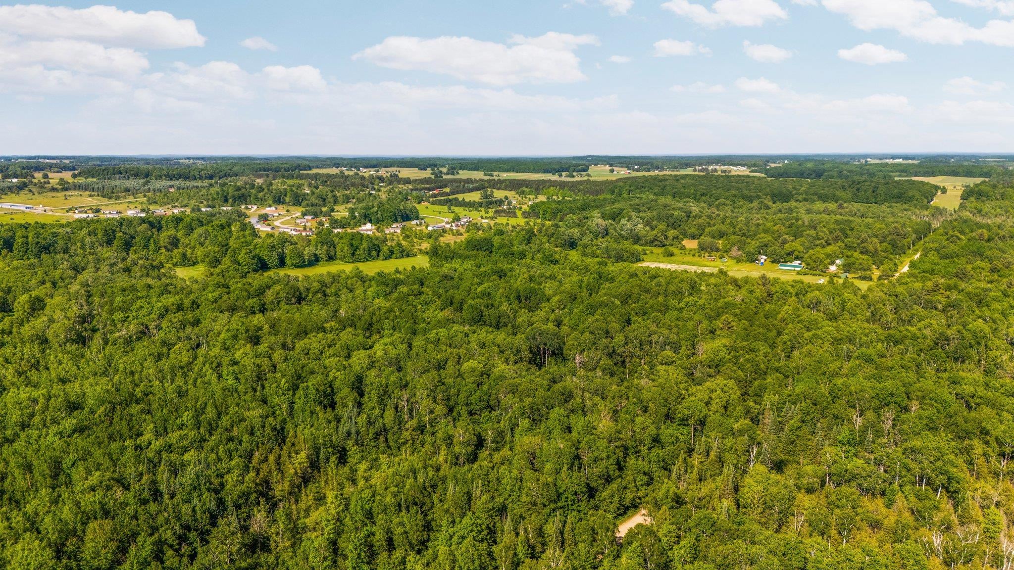 Parcels B Sands Road Buckley, MI 49620 - Photo 3 of 53