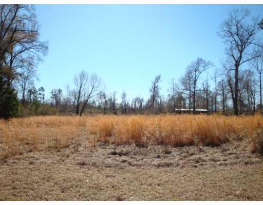 0 Dutch Road Franklinton, LA 70438 - Photo 5 of 8 Gallery Image 5