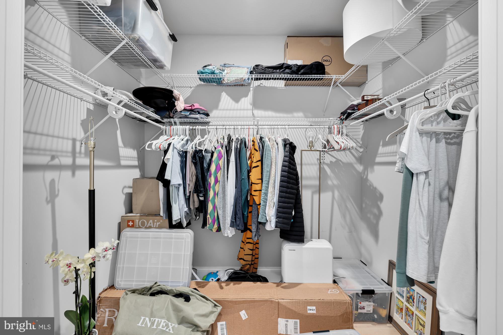 710 E Street Southeast, Unit 4 Washington, DC 20003 - Photo 26 of 32 Walk-In Closet