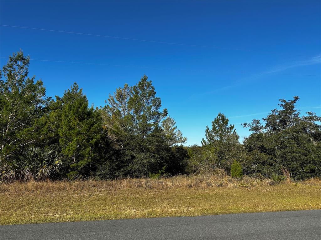 0 Thomas Boat Lndg Rd  