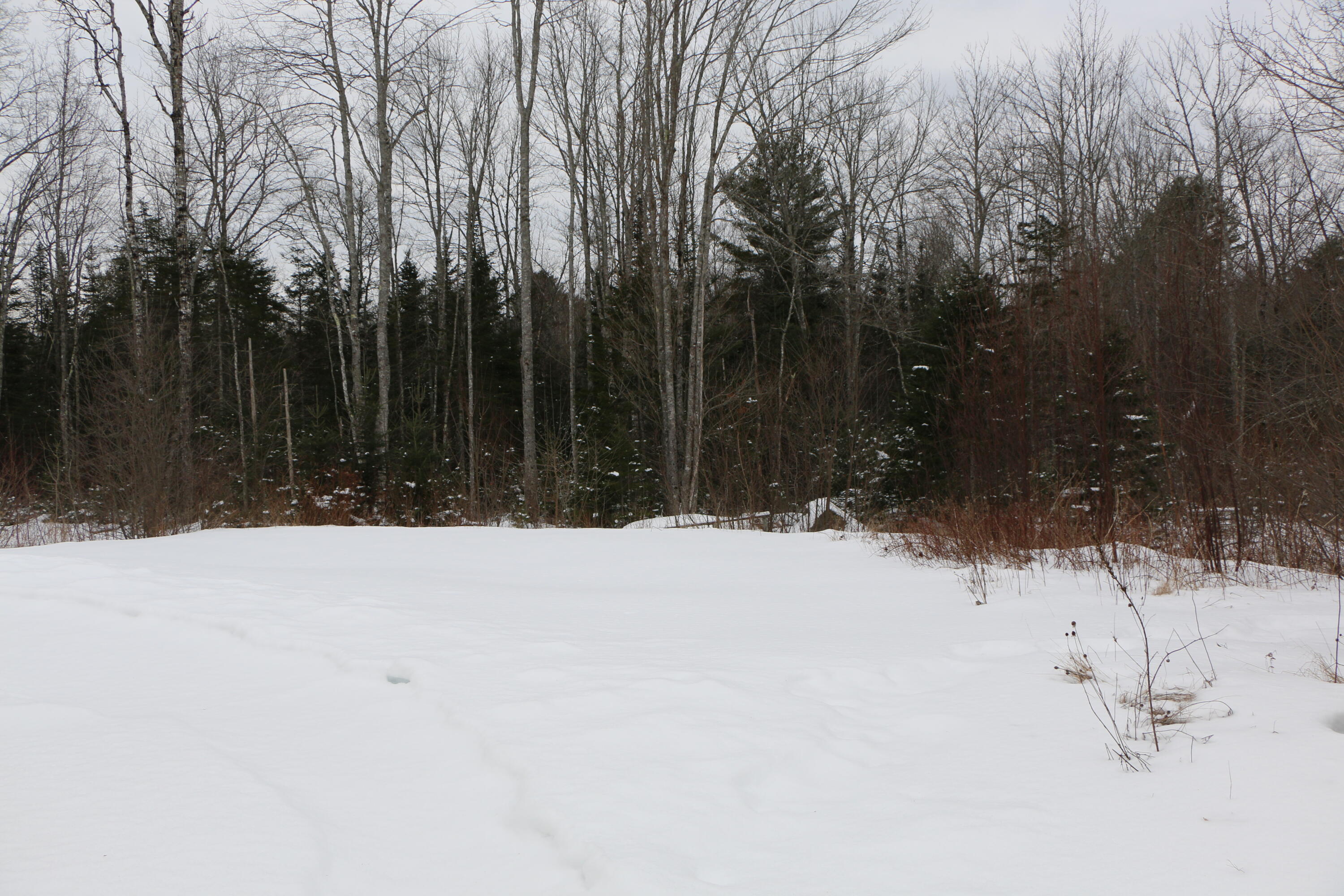 110 Great Pond Road Franklin, ME 04634 - Photo 28 of 37 IMG_4352