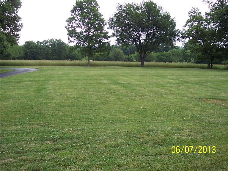 428 Larue Road Paris, KY 40361 - Photo 15 of 15 beautiful almost flat backyard