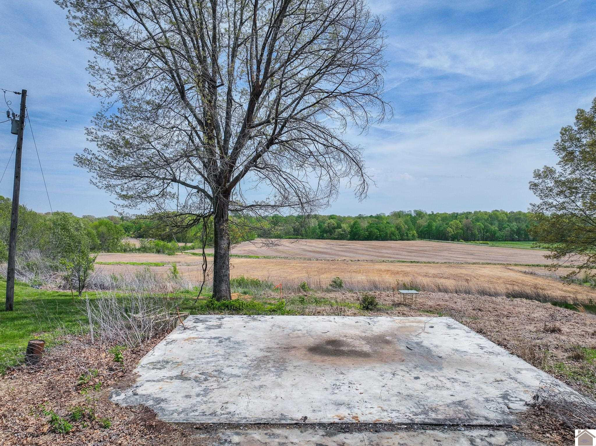 144 Mountain Ridge Road Hickory, KY 42051 - Photo 4 of 8 Slab