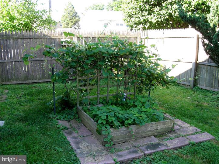 8 Rondon Avenue Berlin, NJ 08009 - Photo 21 of 23 Garden